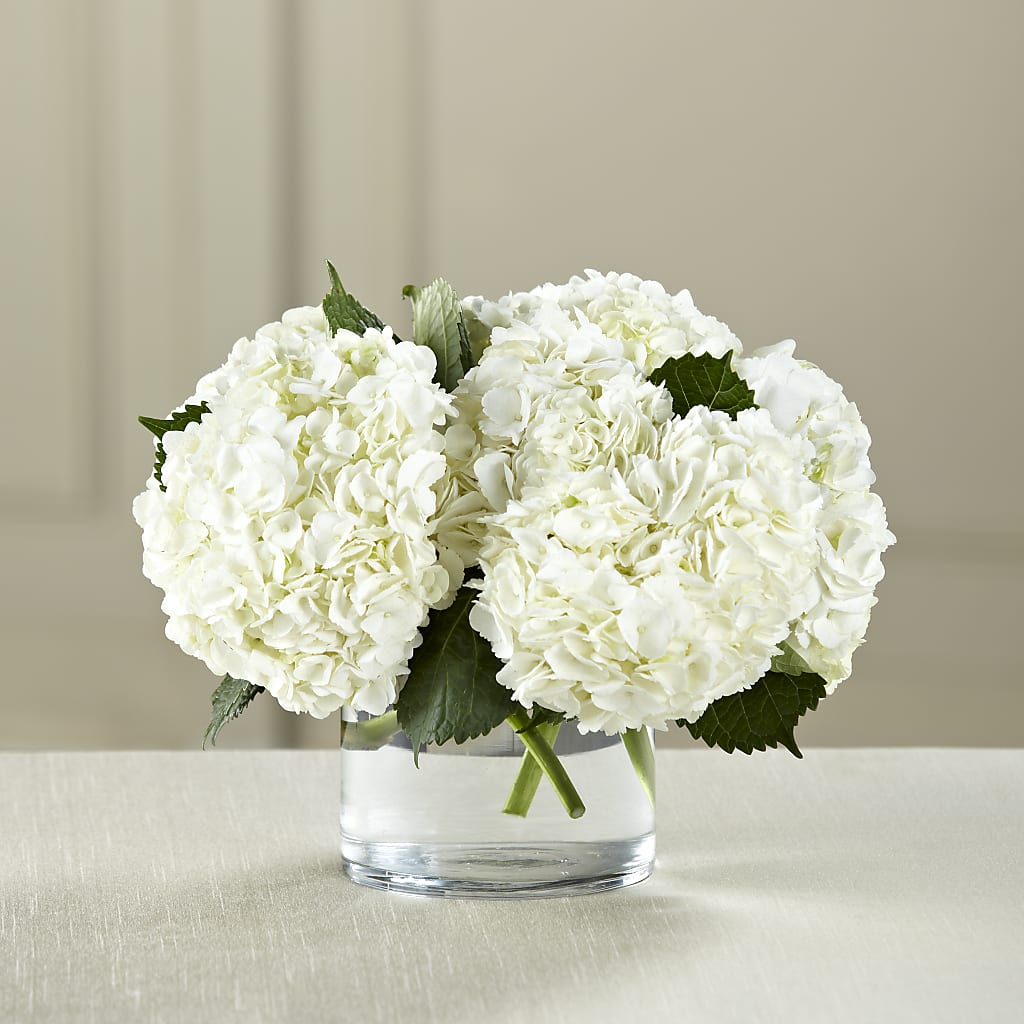 White Hydrangea Bouquet – BELLE'S FLOWERS, Huntington Beach CA