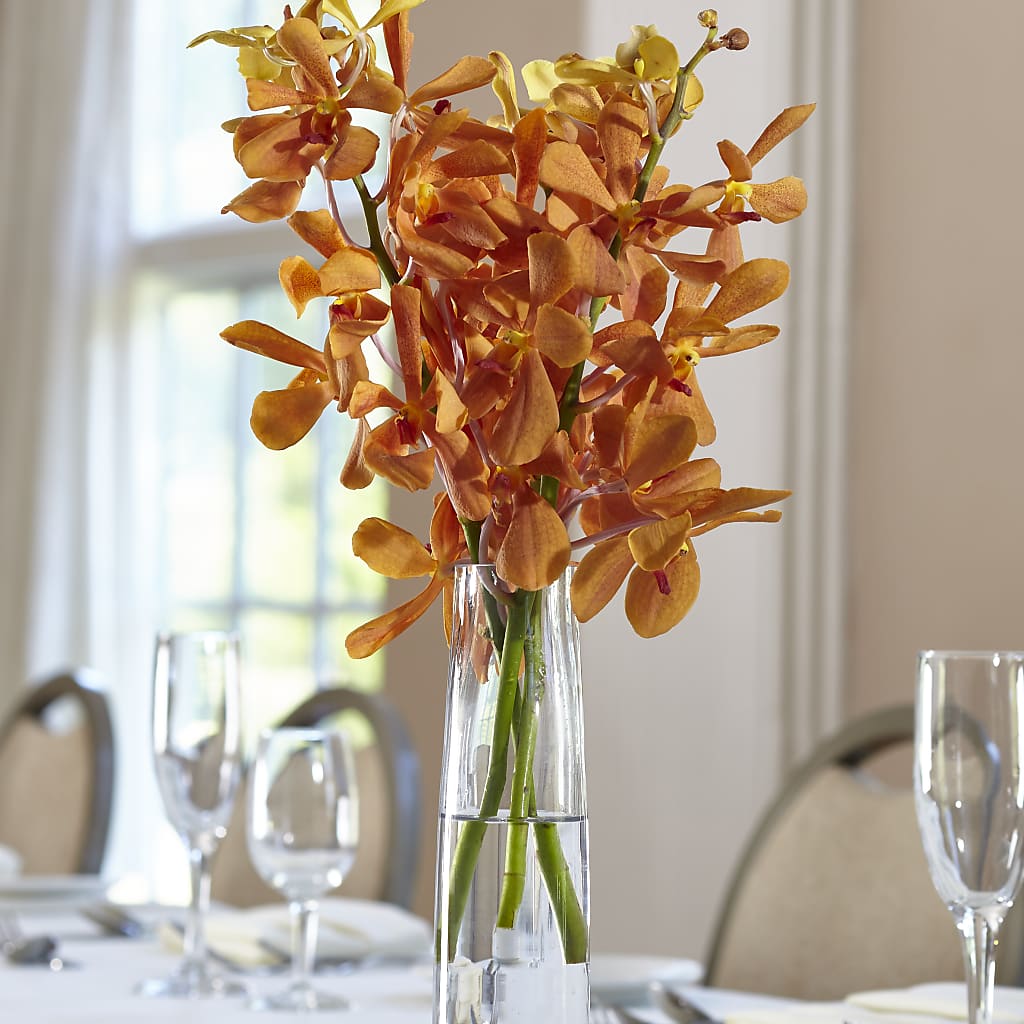 Orange Mokara Bud Vase – BELLE'S FLOWERS, Huntington Beach CA