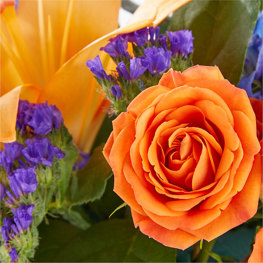 Radiant Citrus Box Bouquet – BELLE'S FLOWERS, Huntington Beach CA