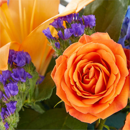 Radiant Citrus Box Bouquet – BELLE'S FLOWERS, Huntington Beach CA