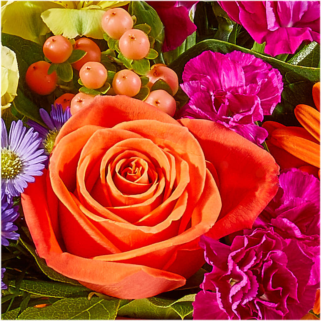 Tricks & Treats Pumpkin – BELLE'S FLOWERS, Huntington Beach CA