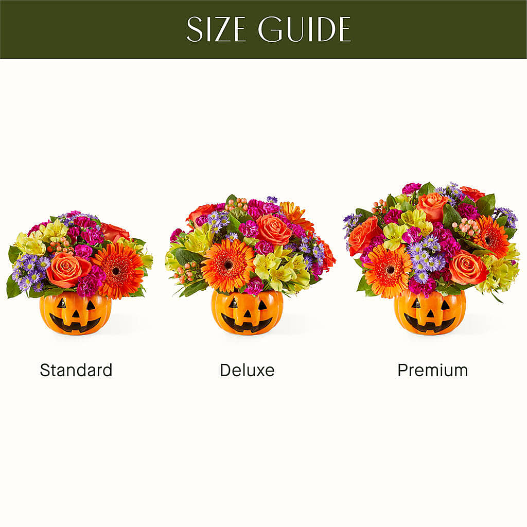 Tricks & Treats Pumpkin – BELLE'S FLOWERS, Huntington Beach CA