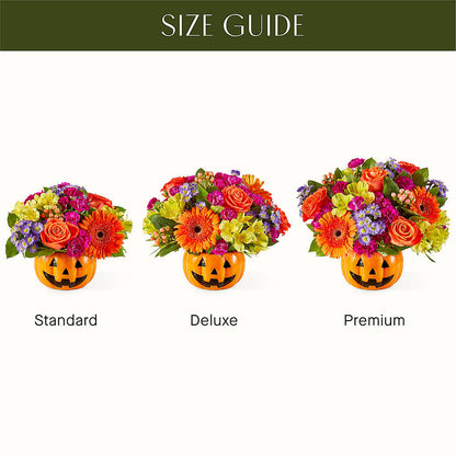 Tricks & Treats Pumpkin – BELLE'S FLOWERS, Huntington Beach CA