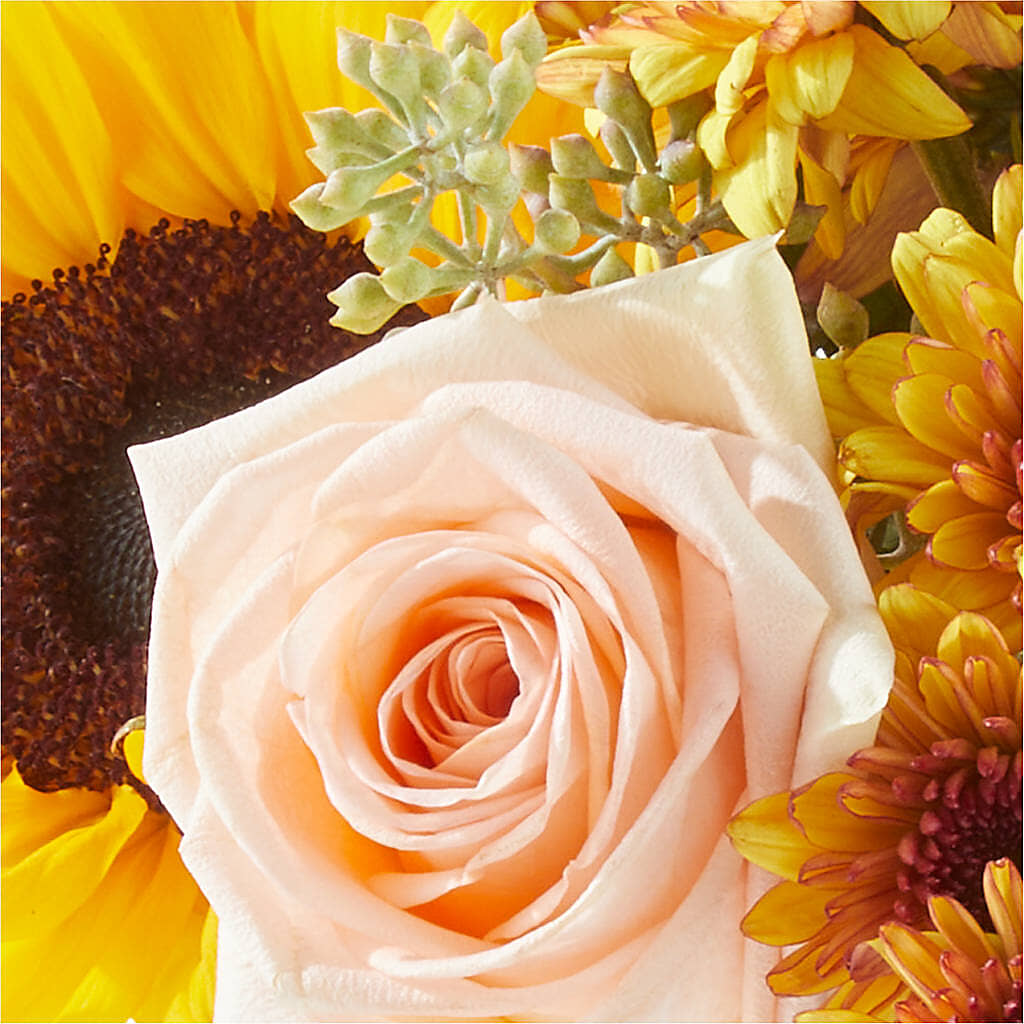 Pumpkin to Talk About Bouquet – BELLE'S FLOWERS, Huntington Beach CA