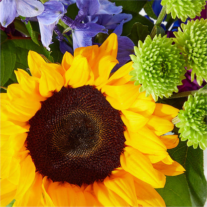 Catching Rays Bouquet – BELLE'S FLOWERS, Huntington Beach CA