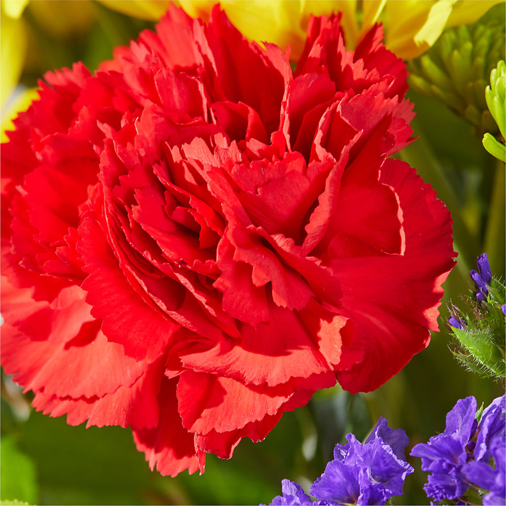 Brighter Days Bouquet – BELLE'S FLOWERS, Huntington Beach CA