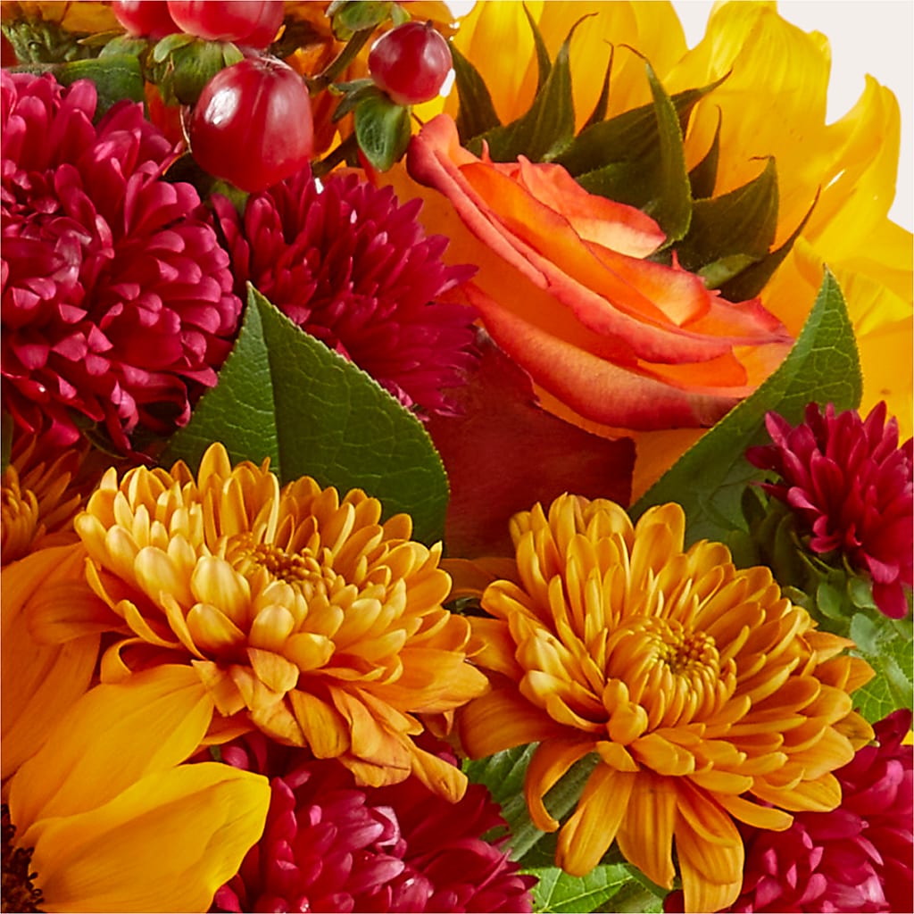 Sweater Season - A Florist Original – BELLE'S FLOWERS, Huntington Beach CA