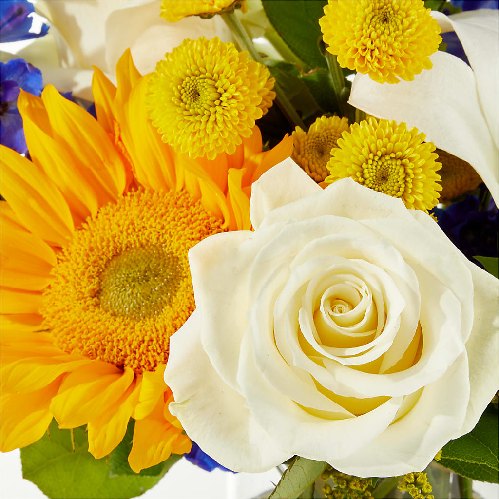 Stargazing Bouquet – BELLE'S FLOWERS, Huntington Beach CA