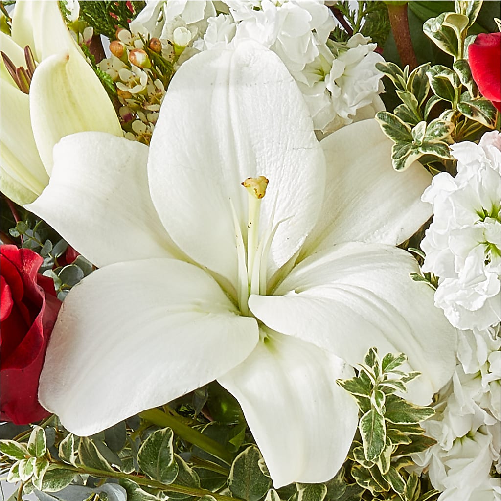 Twinkle Lights Bouquet – BELLE'S FLOWERS, Huntington Beach CA