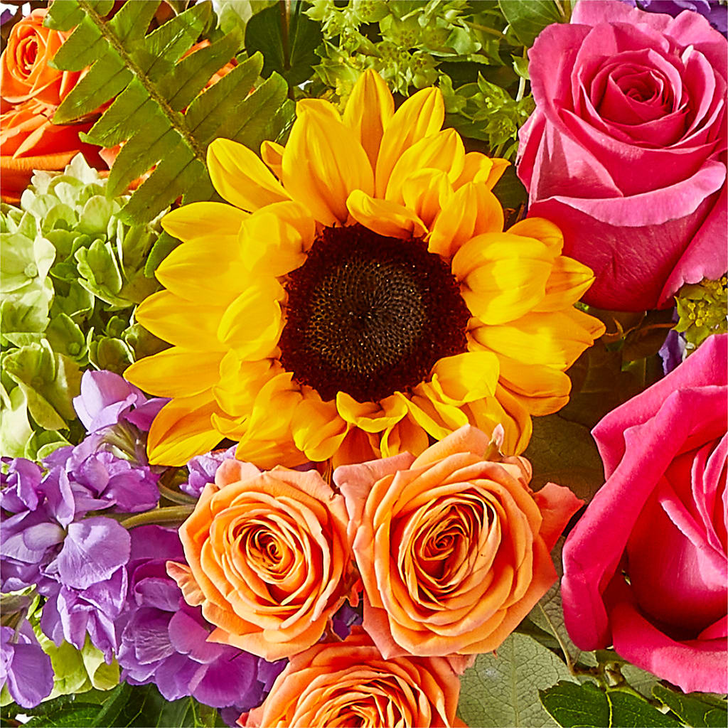 Vibrant Greetings Bouquet – BELLE'S FLOWERS, Huntington Beach CA